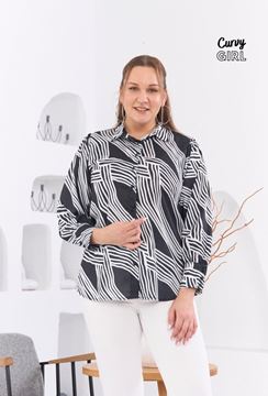 Picture of CURVY GIRL ELEGANT FINE QUALITY BLOUSE